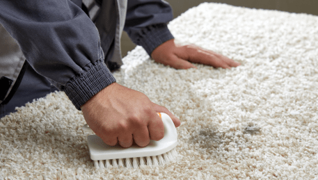 Professional Rug Cleaning Braybrook